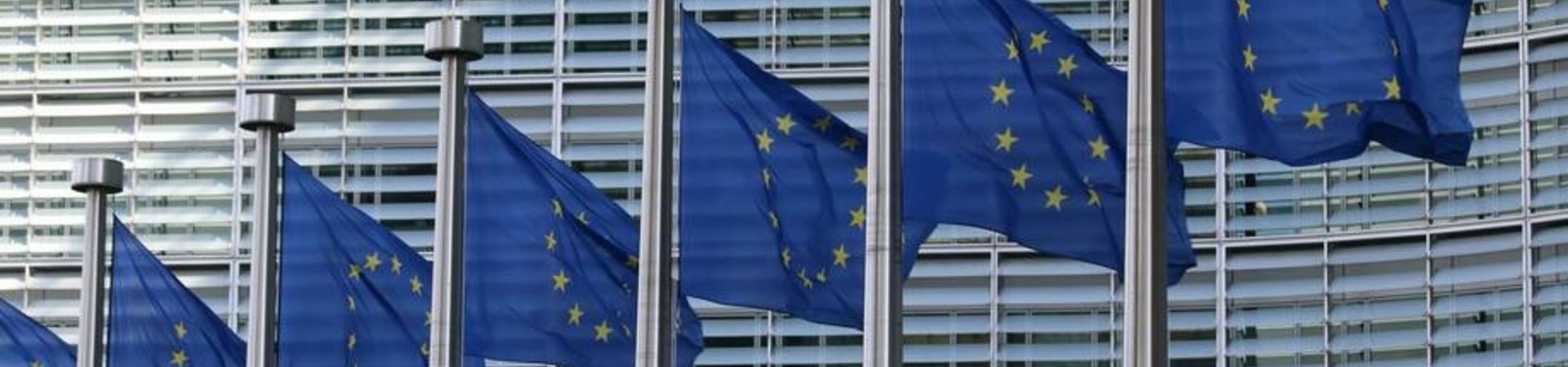 Kerentanan Euro Dan Kekhawatiran Stagnasi Yang Membayangi ECB