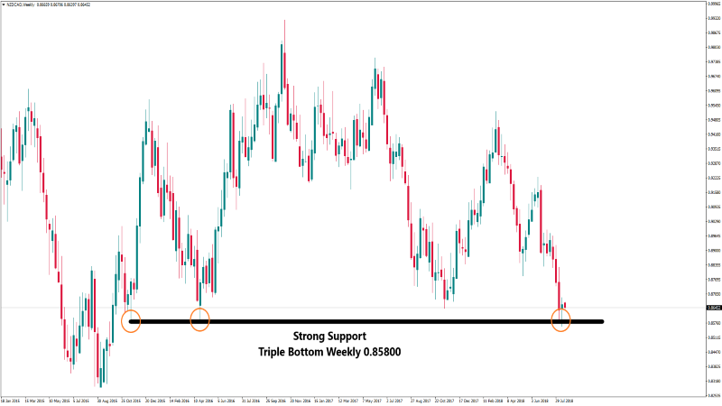 NZDCADWeekly 20 agustus 2018.png