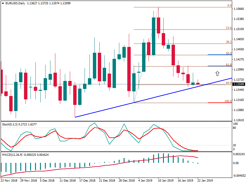 EURUSDDaily 22 jan.png