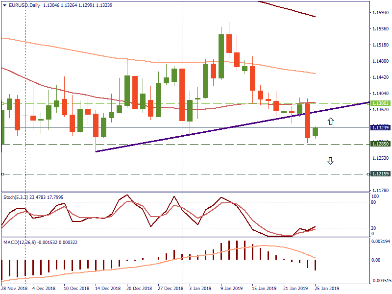 EURUSDDaily 25 jan.png